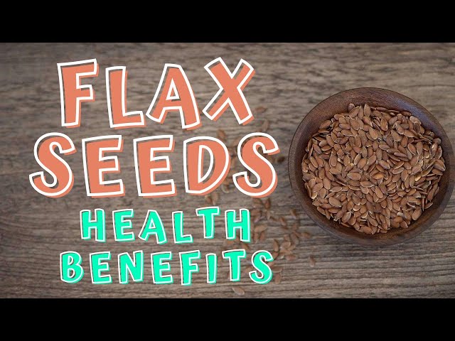 HEALTH BENEFITS OF FLAX SEEDS – Health Articles 2022 - Animals