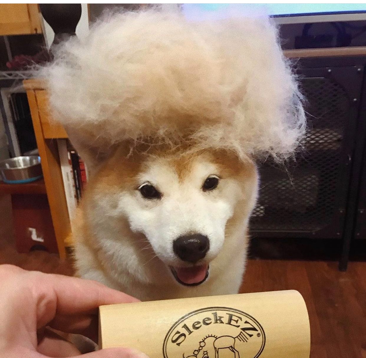 dog-fur-wig